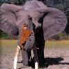mymodernmet-elephant-with-tippi