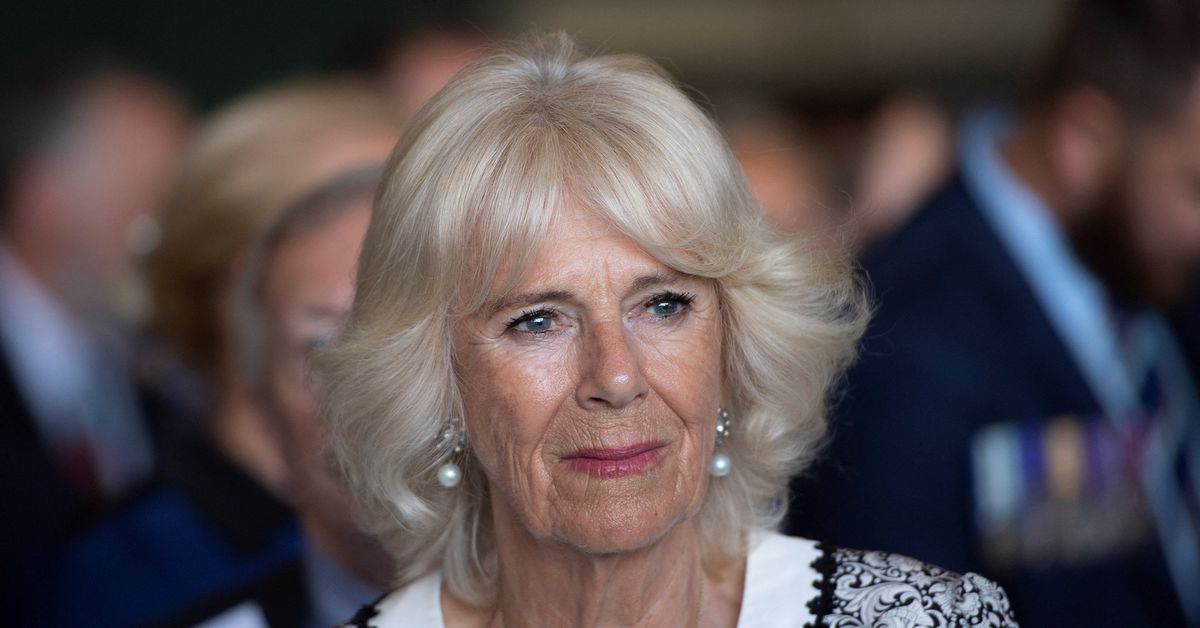 From ‘Rottweiler’ to Queen Consort, Camilla’s rise from shadow of Diana