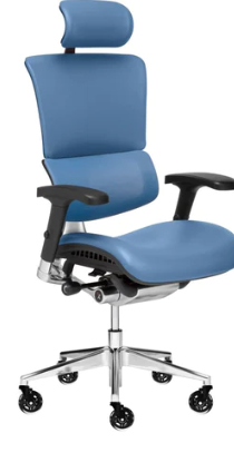 The X-TECH ULTIMATE EXECUTIVE CHAIR Review