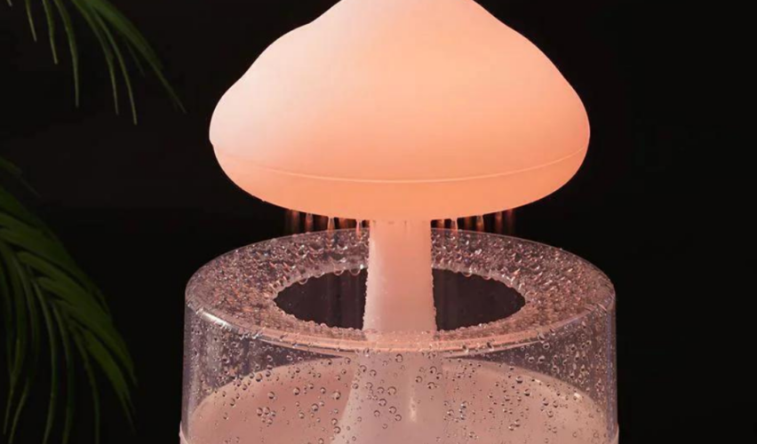 Rain Cloud Humidifier