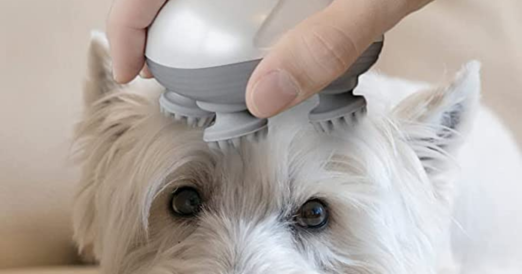 Handheld Pet Massager Review | Originol - Canine Grooming Handheld With Massaging Option