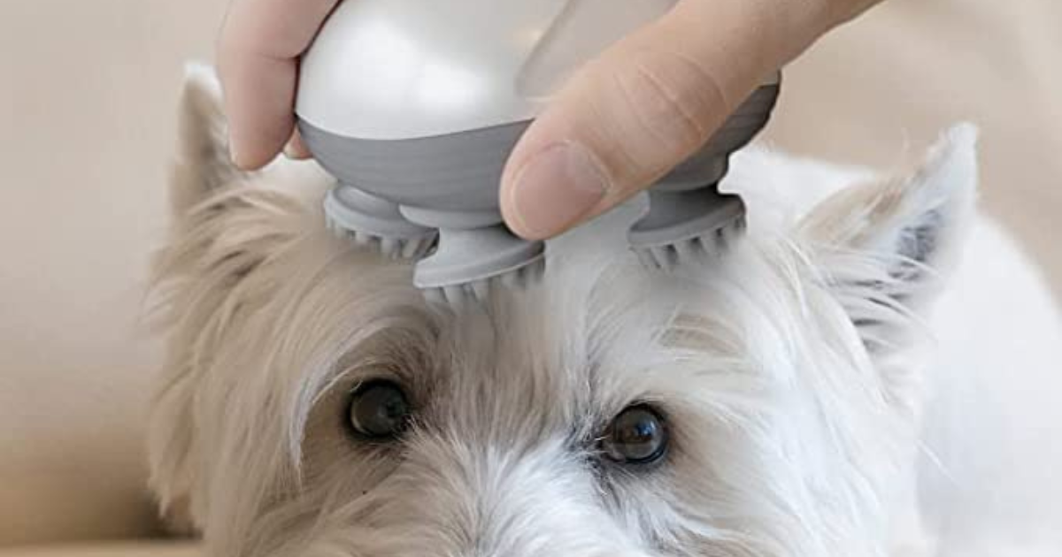 Handheld Pet Massager