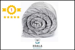 Top3-koala_6x4a